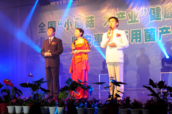 專(zhuān)題報(bào)道