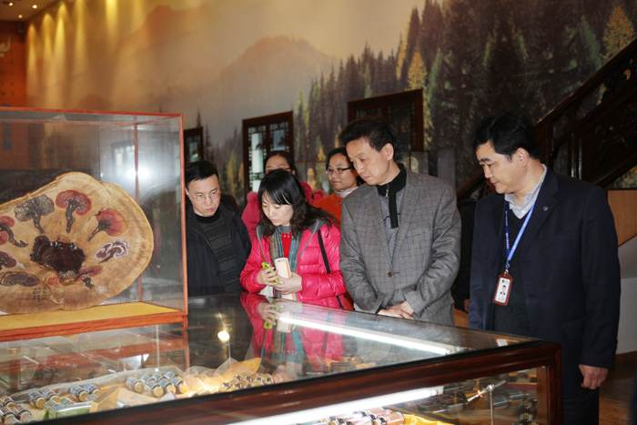 專(zhuān)題報(bào)道