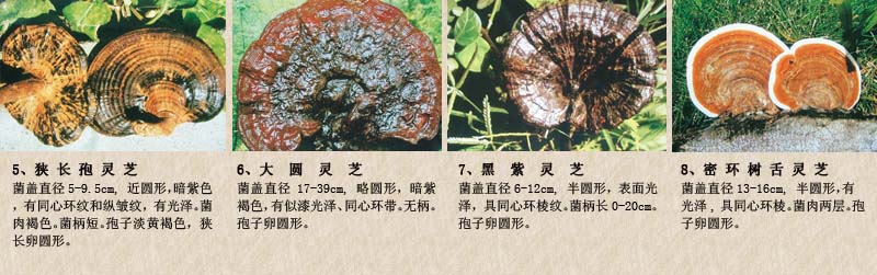 圖片關(guān)鍵詞 圖片關(guān)鍵詞