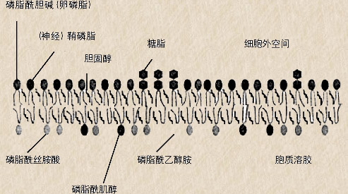 圖片關鍵詞 圖片關鍵詞