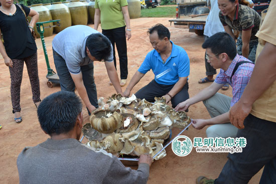 圖片關(guān)鍵詞 圖片關(guān)鍵詞