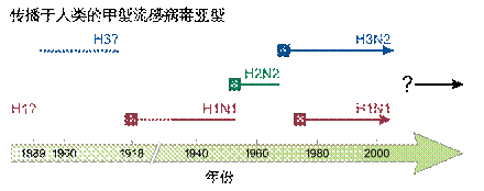 禽流感是一種實(shí)驗(yàn)室病毒 禽流感是一種實(shí)驗(yàn)室病毒