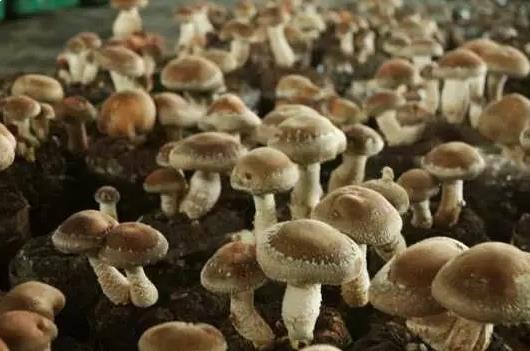 圖片關鍵詞 圖片關鍵詞