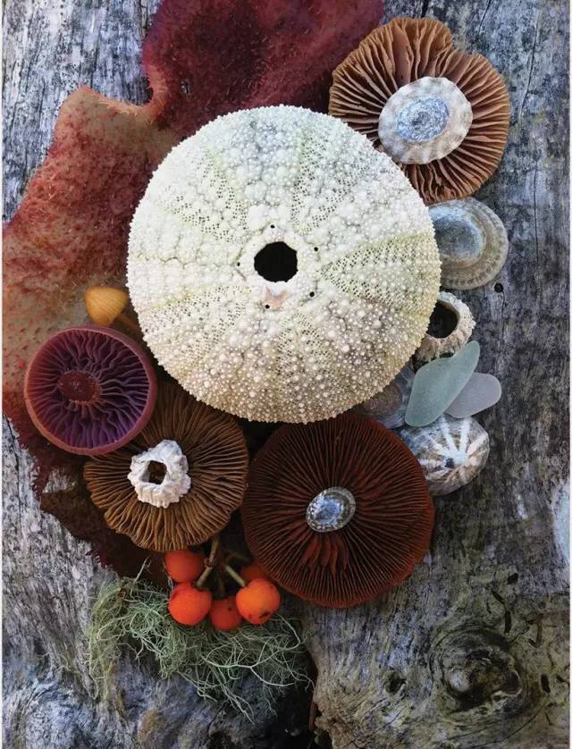 圖片關(guān)鍵詞