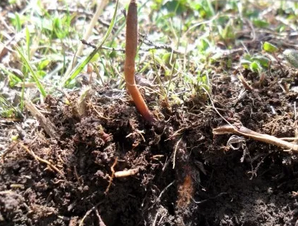 圖片關鍵詞 圖片關鍵詞