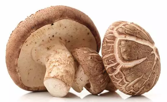 圖片關鍵詞 圖片關鍵詞