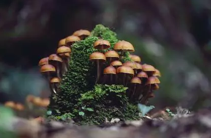 圖片關鍵詞 圖片關鍵詞