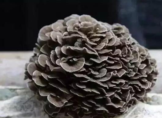 圖片關(guān)鍵詞 圖片關(guān)鍵詞