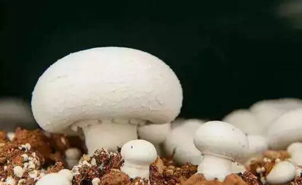 圖片關鍵詞 圖片關鍵詞