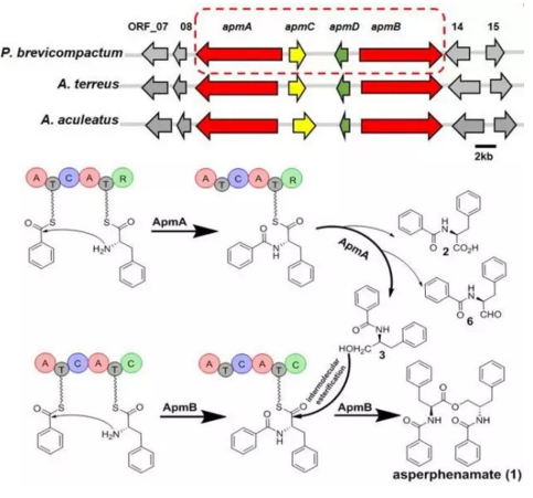圖片關鍵詞 圖片關鍵詞