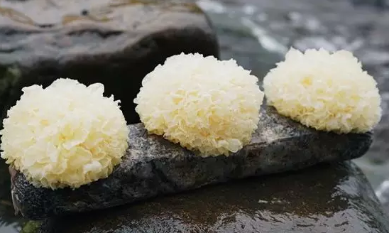 圖片關鍵詞 http://m.51its.com.cn/ewebeditor/uploadfile/20180328092751720001.png