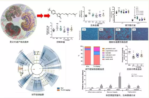 圖片關(guān)鍵詞 圖片關(guān)鍵詞