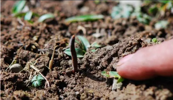 圖片關(guān)鍵詞 http://m.51its.com.cn/ewebeditor/uploadfile/20180814102741148001.png