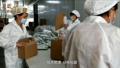 圖片關鍵詞 https://mmbiz.qpic.cn/mmbiz_gif/SxfSv2XOxf7F6h9Fnpicibhibo2FtzRrSNmGrcEic7PkGnaVJs3AYIH0bJqefGUayp01HtIEcnyuHnRWK7NJMRazKw/640?wx_fmt=gif&tp=webp&wxfrom=5&wx_lazy=1