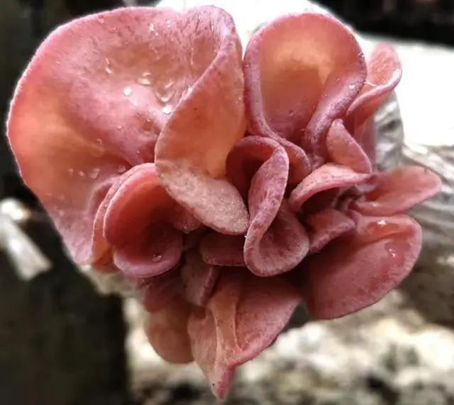 圖片關鍵詞 圖片關鍵詞