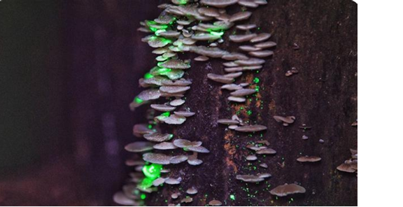 圖片關鍵詞 圖片關鍵詞