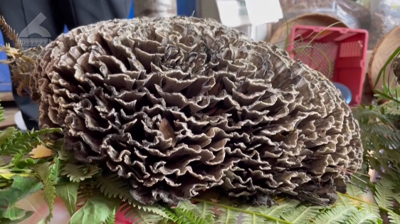 圖片關(guān)鍵詞 圖片