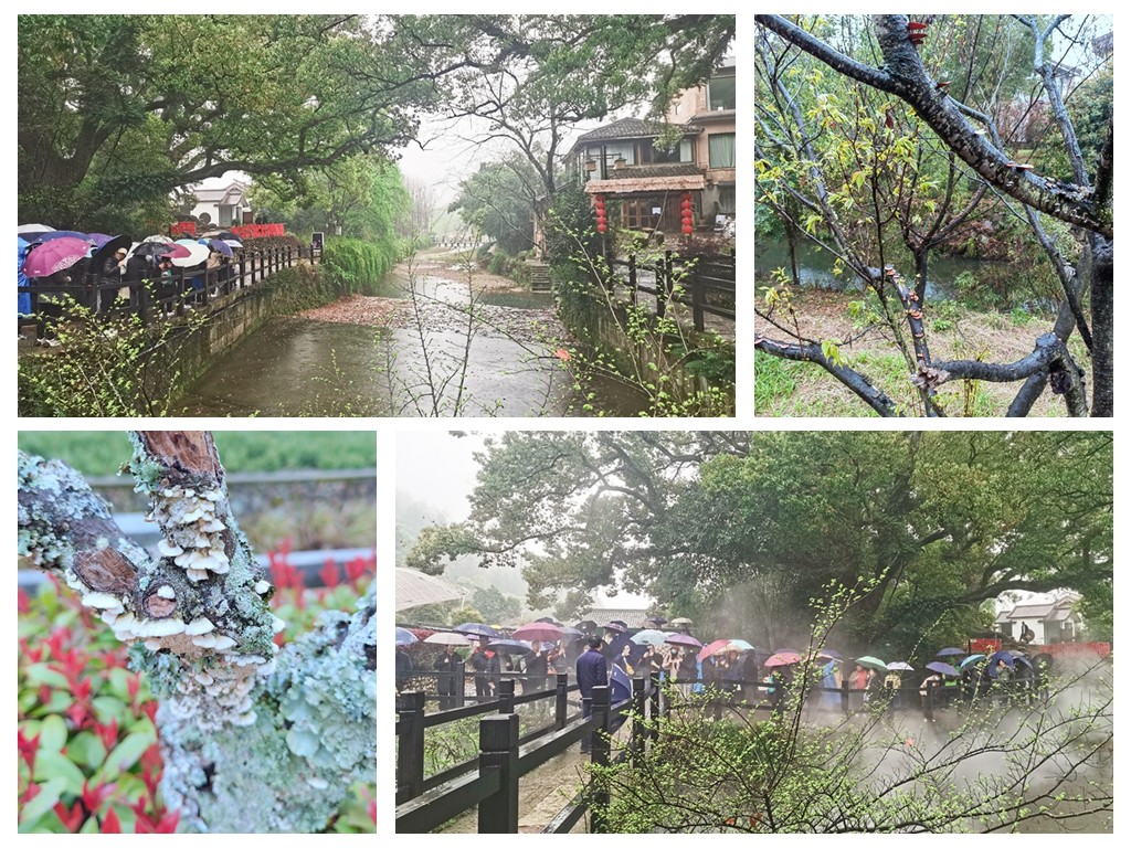 圖片關鍵詞 圖片關鍵詞