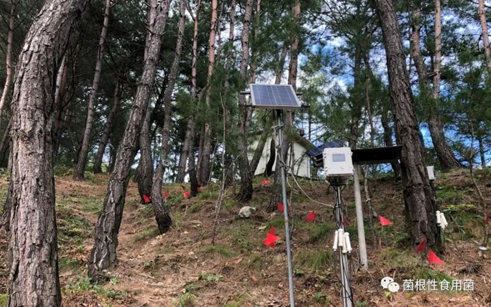 圖片關鍵詞 圖片關鍵詞