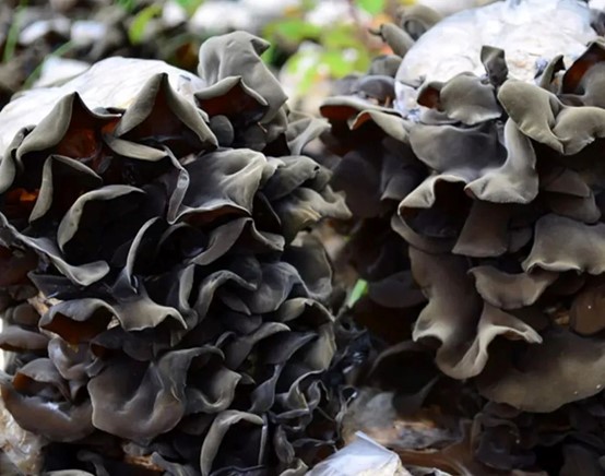 圖片關鍵詞 圖片關鍵詞