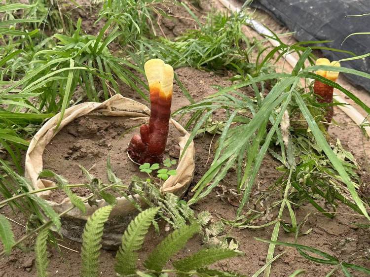 圖片關鍵詞 圖片關鍵詞