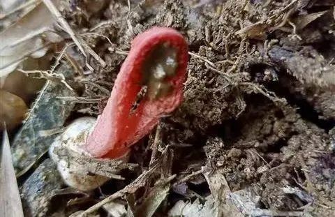 圖片關(guān)鍵詞 圖片關(guān)鍵詞