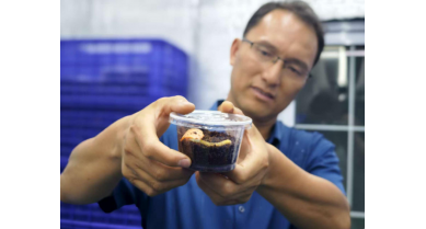 行業(yè)動(dòng)態(tài)