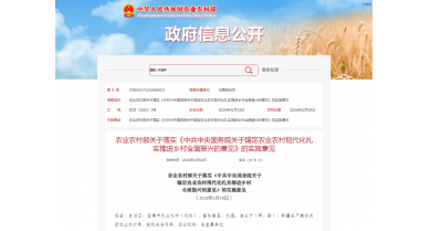 行業(yè)動態(tài)